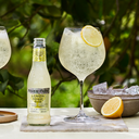 Fever-Tree  MW 24 X 0,20