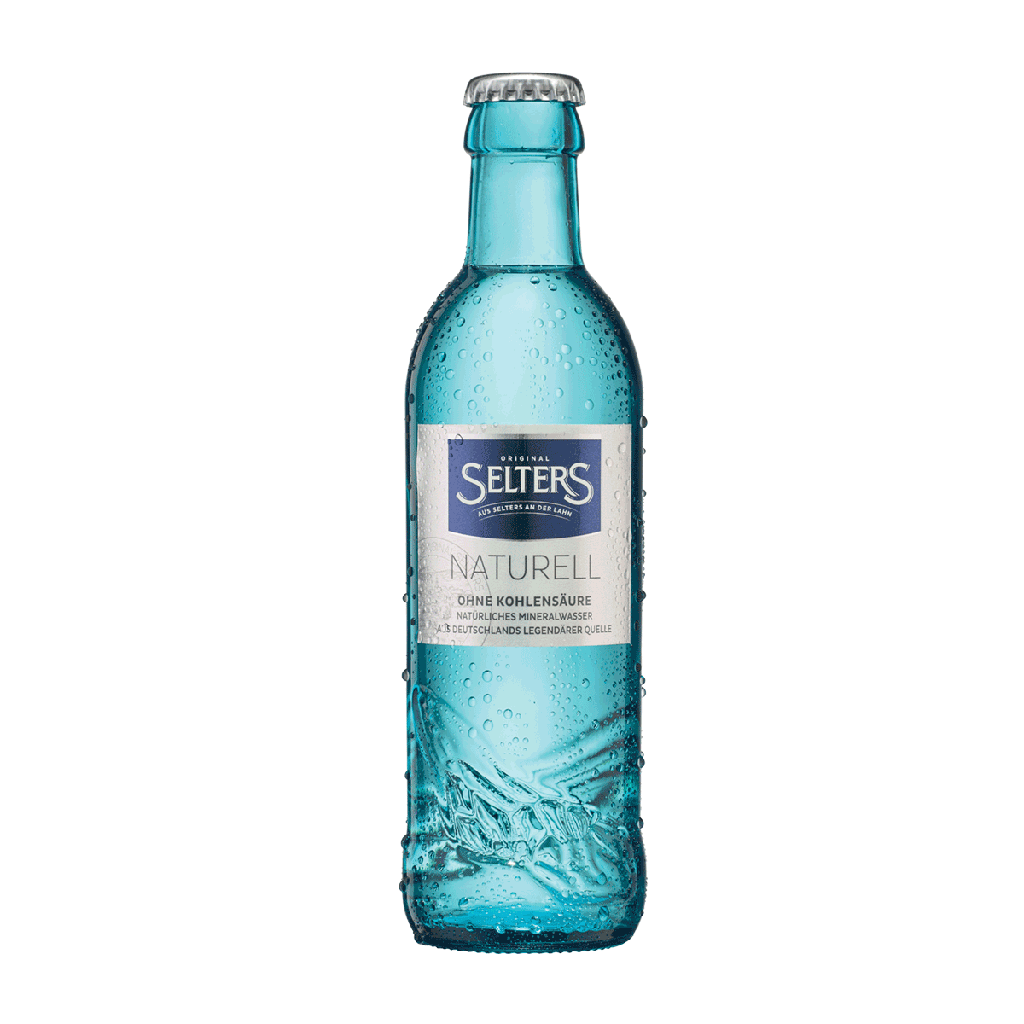Selters Wasser Gastro 24 x 0,25