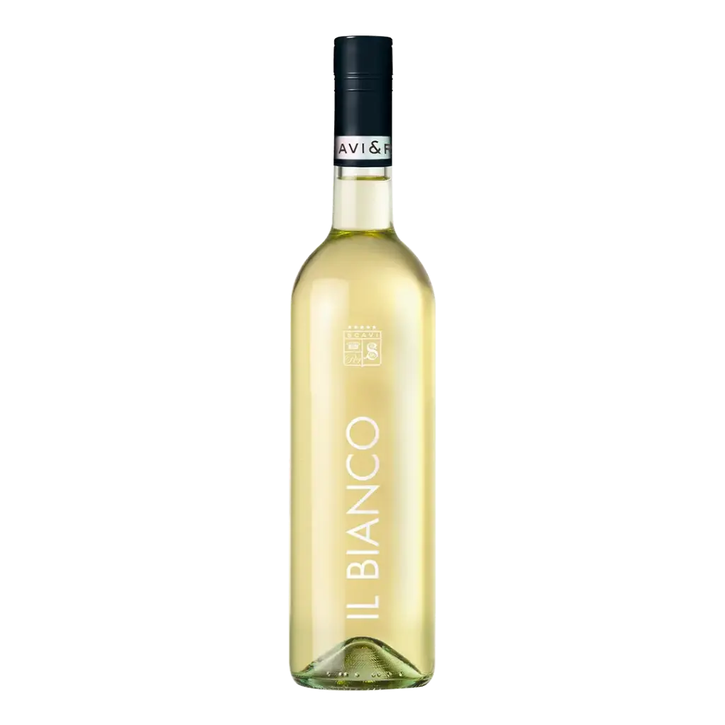 SCAVI & RAY Stillweine 12% - 0,75