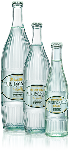 Taunusquelle Wasser Glas 12 x 0,75 l